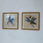 Barrani 코르니글리오