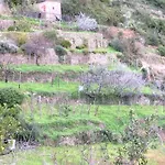 B&B Barrani
