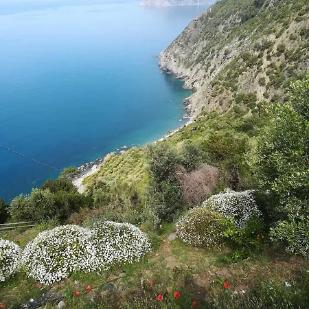 Barrani * Corniglia