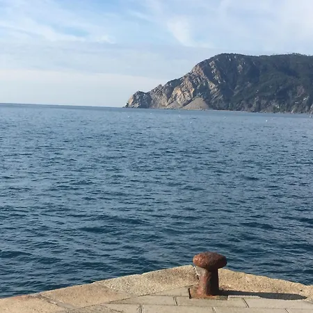 Barrani