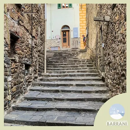 Barrani *