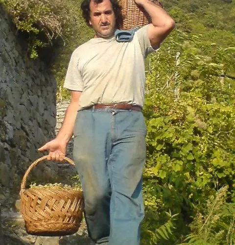 Barrani Отель типа 